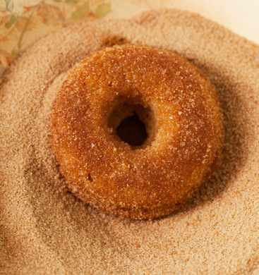 Plain Cake Donut